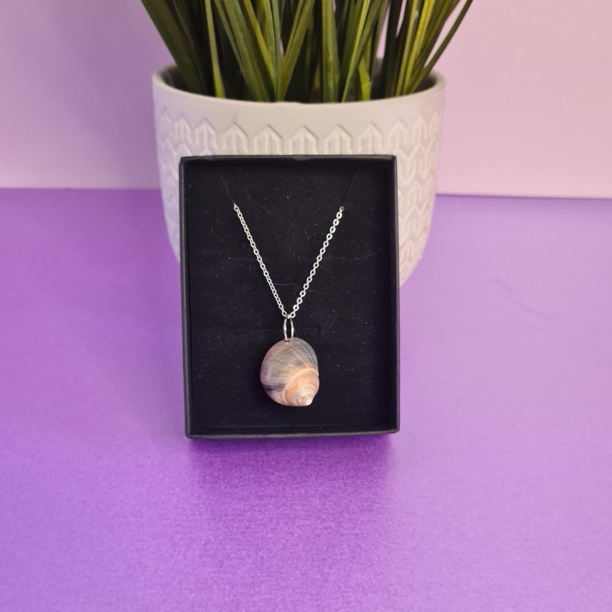 Nautilus Shell Necklace – Morning Moon Nature Jewelry